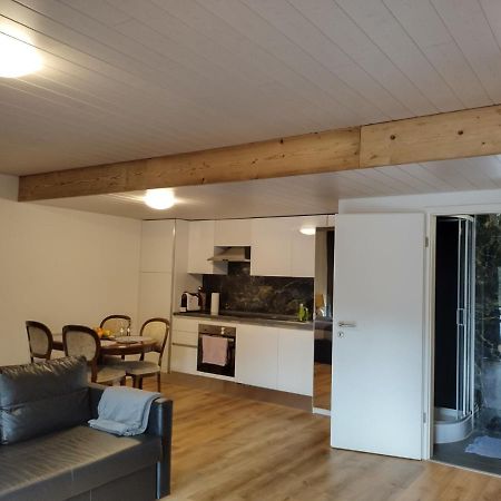 Spacieux Studio 38M2 Les Paccots Zewnętrze zdjęcie