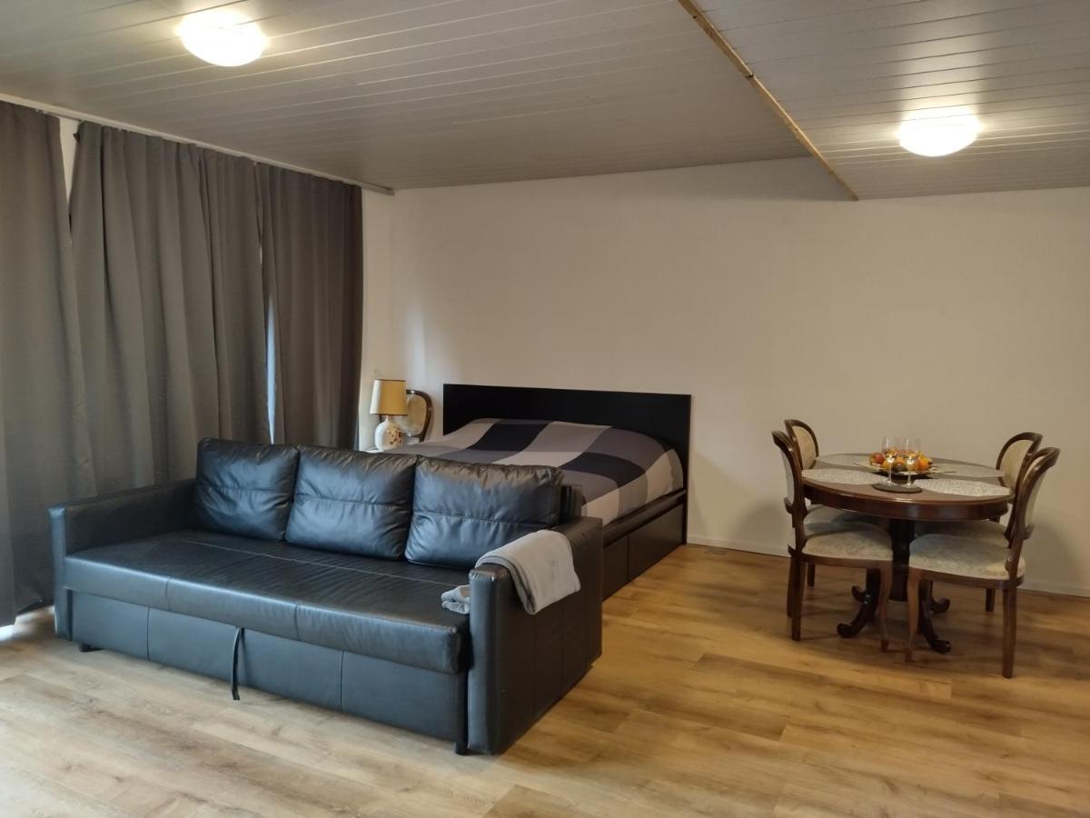 Spacieux Studio 38M2 Les Paccots Zewnętrze zdjęcie
